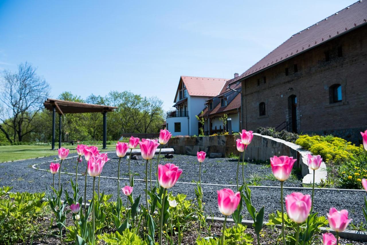 Dvur Perlova Voda Budyne nad Ohri Экстерьер фото